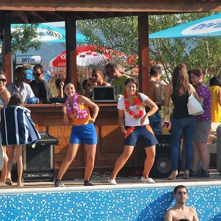 Harmony Hills Tomovi K32 *