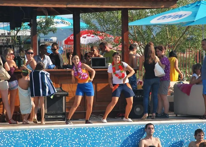 Harmony Hills Tomovi K32 *